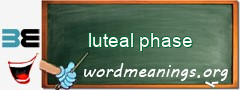 WordMeaning blackboard for luteal phase